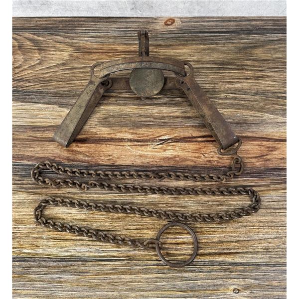 Newhouse ATC No 48 Trap with Teeth