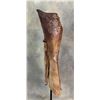 Image 3 : Antique Spanish Mexican Andalusian Charro Chaps