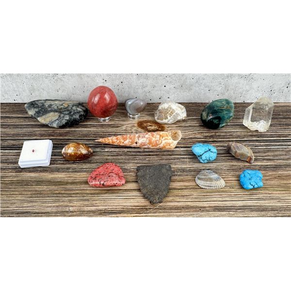 Collection of Mineral Specimens and Sea Shells
