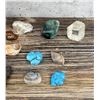 Image 3 : Collection of Mineral Specimens and Sea Shells