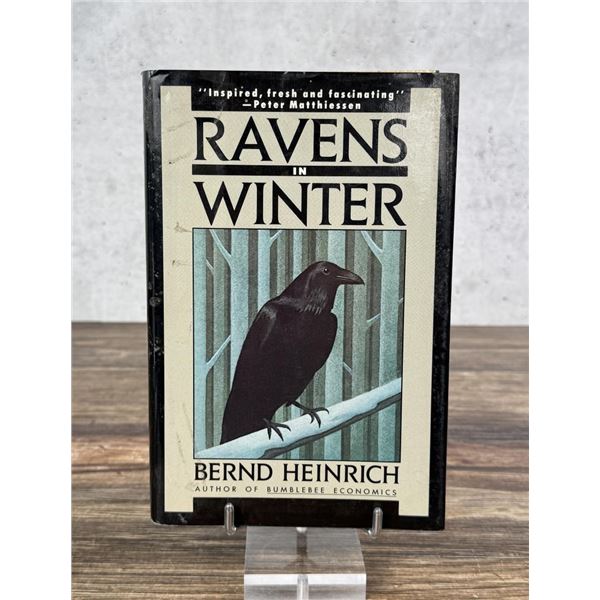 Ravens in Winter