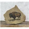 Image 1 : Judy Hoy Buffalo Sandstone Painting