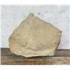 Image 3 : Judy Hoy Buffalo Sandstone Painting