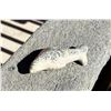 Image 2 : Alaskan Eskimo Inuit Stone Seal Carving