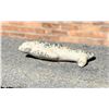 Image 6 : Alaskan Eskimo Inuit Stone Seal Carving