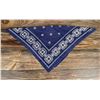 Image 2 : Antique Fast Color Cowboy Bandana