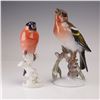 Image 1 : 2pc Rosenthal Porcelain Bird Figurines, Bullfinch and Chaffinch