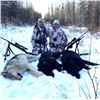 Image 5 : ALBERTA WOLF HUNT AND TRAPLINE ADVENTURE FOR ONE HUNTER / 6 DAYS