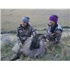 Image 2 : NEW ZEALAND FIVE DAYS FOR 1 HUNTER AND 1 OBSERVER