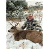 Image 1 : 3 NIGHT / 2 DAY SELF-GUIDED SITKA BLACKTAIL HUNT IN ALASKA FOR 1 HUNTER