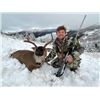 Image 5 : 3 NIGHT / 2 DAY SELF-GUIDED SITKA BLACKTAIL HUNT IN ALASKA FOR 1 HUNTER