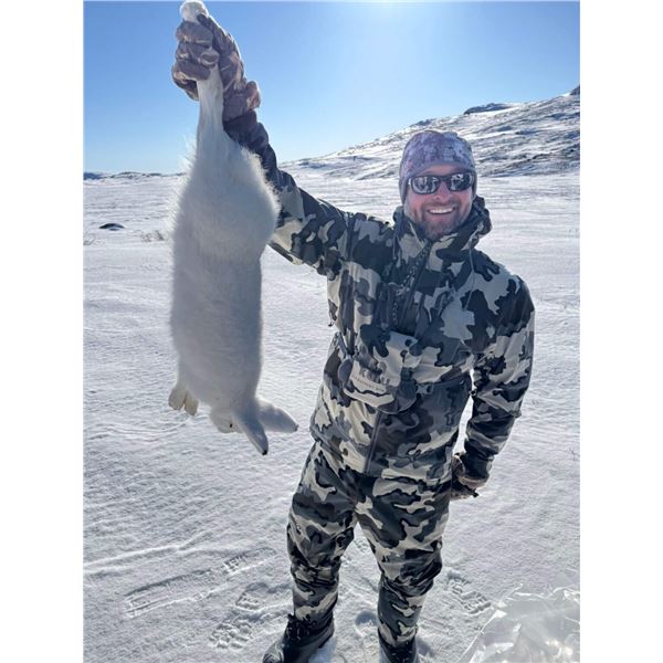 GREENLAND 4 DAYS KING EIDER HUNT FOR 2 HUNTERS