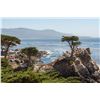 Image 2 : MONTEREY CA GOLF AND STAY 3 NIGHTS 2 GOLFERS