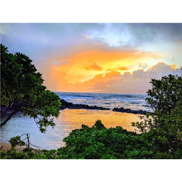 HAWAIIAN BIG GAME HUNT ON MOLOKA’I FOR 1 HUNTER / 1 DAY