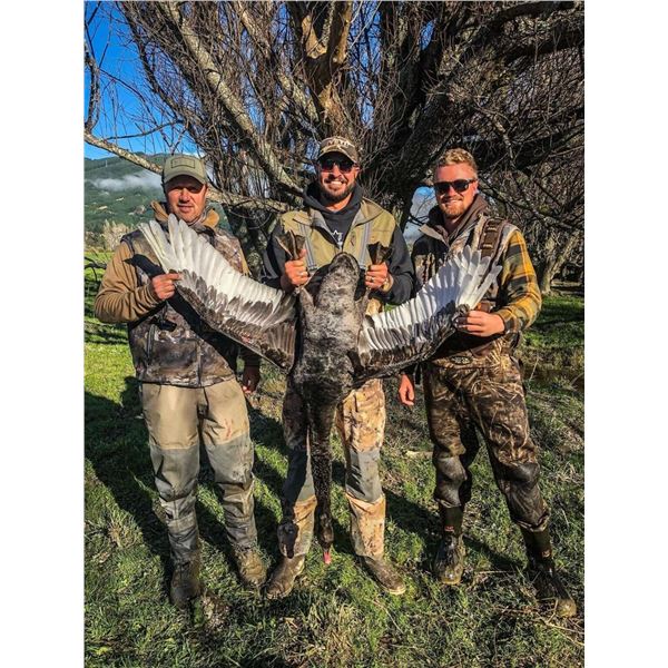 NEW ZEALAND WATERFOWL HUNT FOR 2 / 3 DAYS