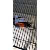 Image 3 : RIDGID FUEGO SAWS ALL