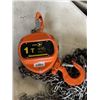 Image 3 : JET 1-TON CHAIN HOIST