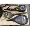 Image 2 : RACKETS, PELICAN COVER, AND BEACH MAT