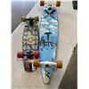 Image 1 : LONGBOARD AND MINI LONGBOARD