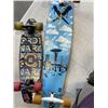 Image 2 : LONGBOARD AND MINI LONGBOARD