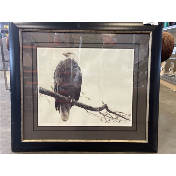 BALD EAGLE LIMITED EDITION PRINT