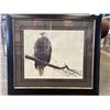 Image 1 : BALD EAGLE LIMITED EDITION PRINT