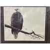 Image 2 : BALD EAGLE LIMITED EDITION PRINT