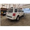 Image 14 : 2008 FORD ESCAPE, WHITE, 219629 KMS, FRONT WHEEL DRIVE. - DA54067