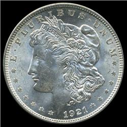 1921 Morgan Dollar Choice+ Unc Scarce Variety (COI-5618)