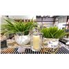 Image 5 : 2 SHELVES OF ASSORTED DECOR ITEMS, BOOKS, CANDLES, CRYSTALS, FAUX PLANTS & PICTURE FRAMES