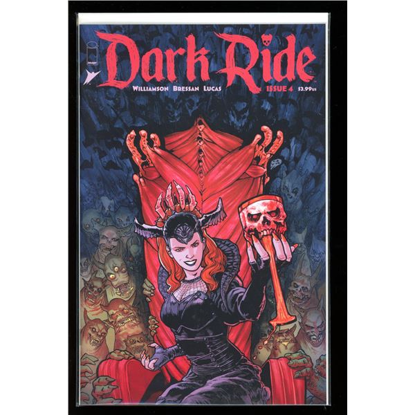 Image Dark Ride #4 (new never read)