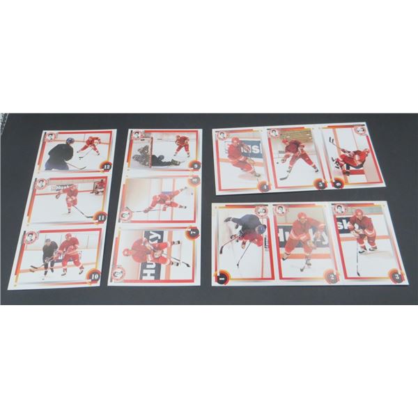 Complete set of Theo Fleury Hockey School Training Cards