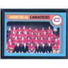 Image 1 : 1979-80 O-Pee-Chee #252 Canadiens Checklist Team BV $30