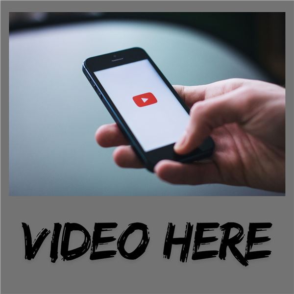 View Auction Video Here