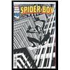 Image 1 : Marvel Spider-Boy #7 Black Costume Variant (new never read)