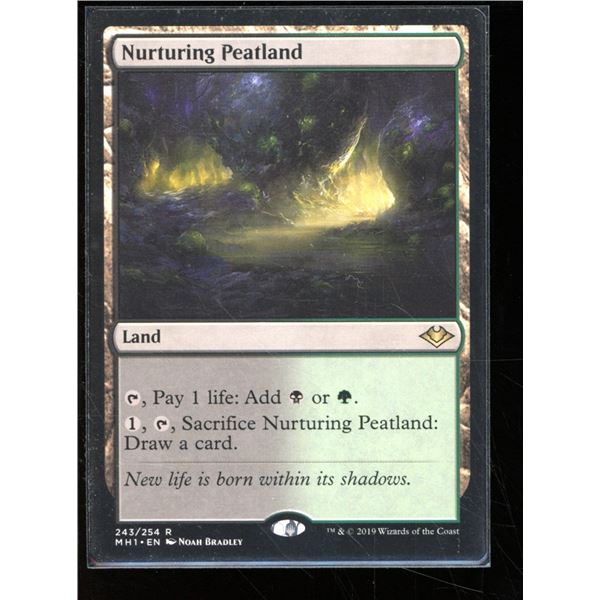 Magic the Gathering Nurturing Peatland Modern Horizons
