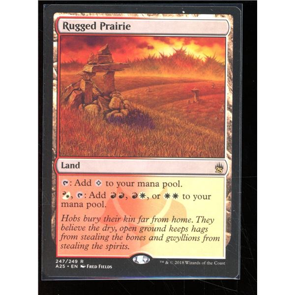 Magic the Gathering Rugged Prairie Masters 25
