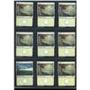 Image 1 : Lot Of 9 Various Magic The Gathering FOIL Plains Lands