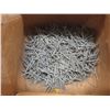 Image 4 : 1/2 Box Of 3" Siding Nails