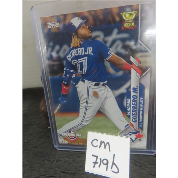 Vladimir Guerrero Jr Toronto Blue Jays Card