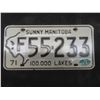 Image 4 : Vintage Manitoba Spirit of 70, 1971 Buffalo Head Licence Plate & 1976 Plate