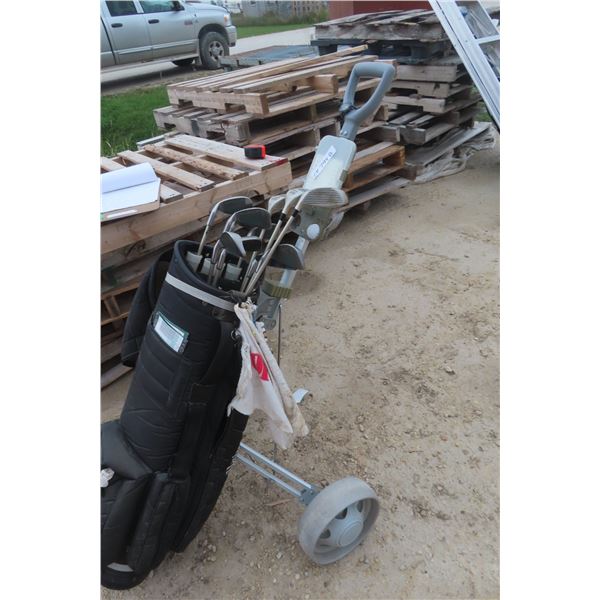 12 Right Handed Golf Clubs 'Altima Gold' with