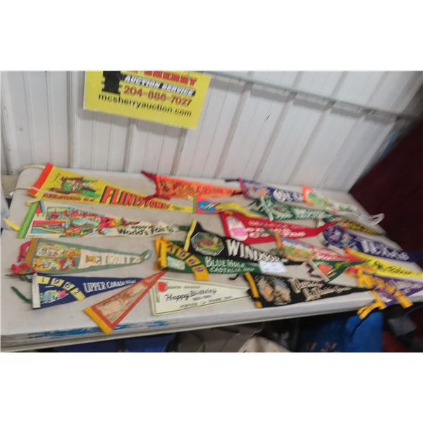 Vintage Souvenir Pennants 