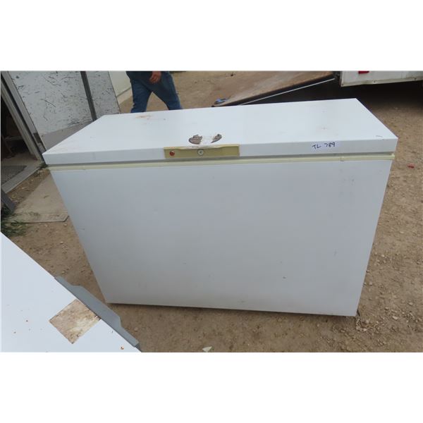 Woods Chest Deep Freeze  36'' x 50'' x 22'' 
