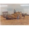 Image 2 : Hand signed numbered print by Armand Paquette (Falls) 22x27