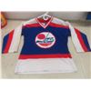 Image 2 : Lot of 2 youth size S/M and L/XL WPG Jets jerseys