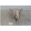 Image 1 : Buffalo Skull 17'' Spread 