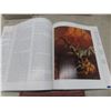 Image 8 : Stephen King, Harry Potter, Narnia Novels and More
