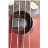 Image 3 : Kala KA-NV-Lbug Ukulele with Box 