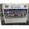 Image 9 : Professionally Framed Winnipeg Blue Bombers Team Photo, 2008, 16" x 18"